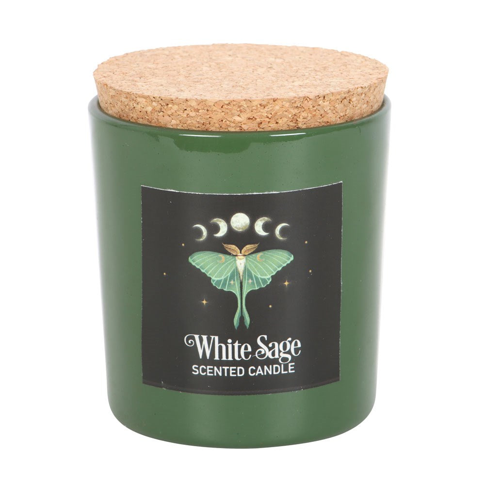 Luna Moth White Sage Candle | Vegan Paraffin Wax | Cottagecore | 25-Hour Burn Time | Magic-Inspired Ambiance