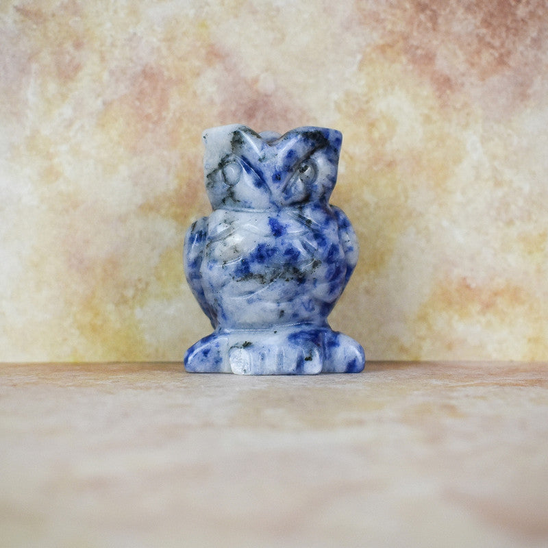 Hand Carved Owl | Sodalite |  Crystal Figurine