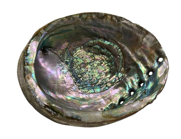 Abalone Shell | Medium 10cm | Smudge Dish | Smoke Cleansing.