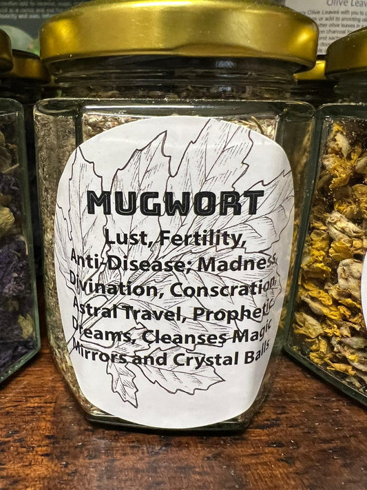 Mugwort | 30g in Jar | Herb | Herbwork | Spell Reagent