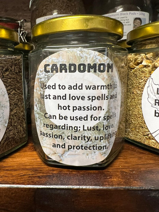 Cardamom Black Pods | 50g in Jar | Herb | Herbwork | Spell Reagent