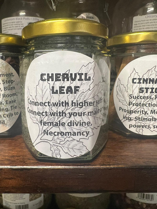 CHERVIL LEAF | 20g in Jar | Herb Work | Root Work | Herbal Tea