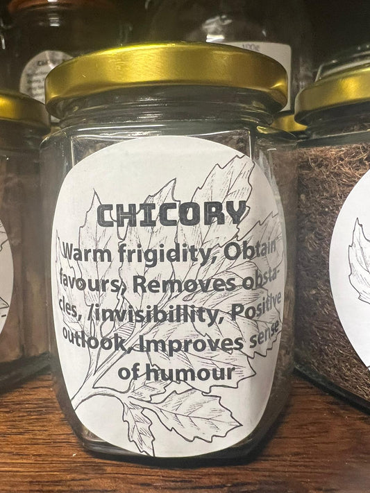 CHICORY | 30g in Jar | Herb Work | Root Work | Physical Witchcraft