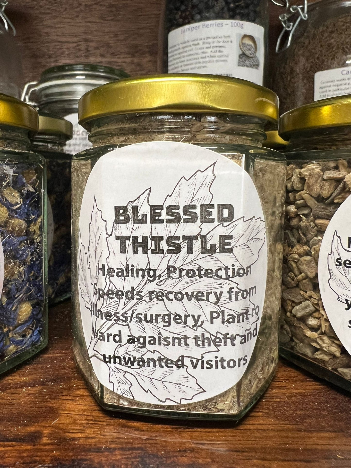 Blessed Thiastle| 20g | Herbs | Spell Reagent | Herbwork | Rootwork |