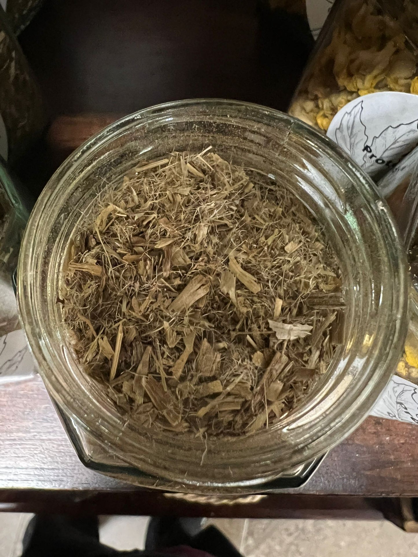 Blessed Thiastle| 20g | Herbs | Spell Reagent | Herbwork | Rootwork |