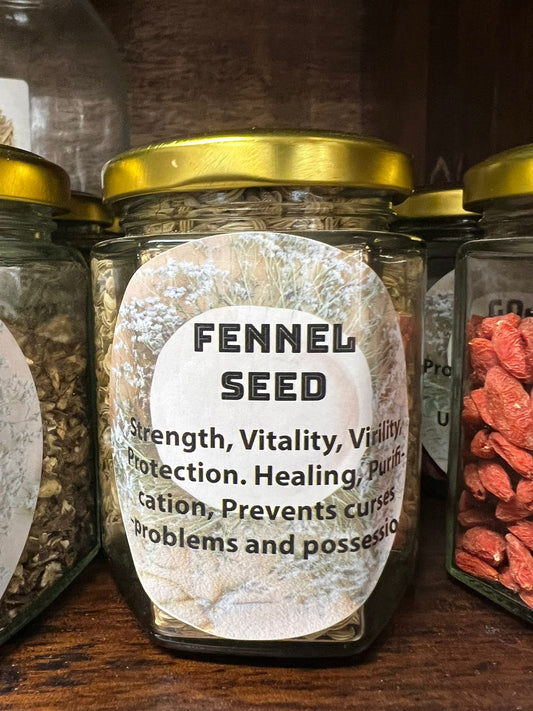 Fennel | 75g | Herbs | Spell Reagent | Herbwork | Rootwork |