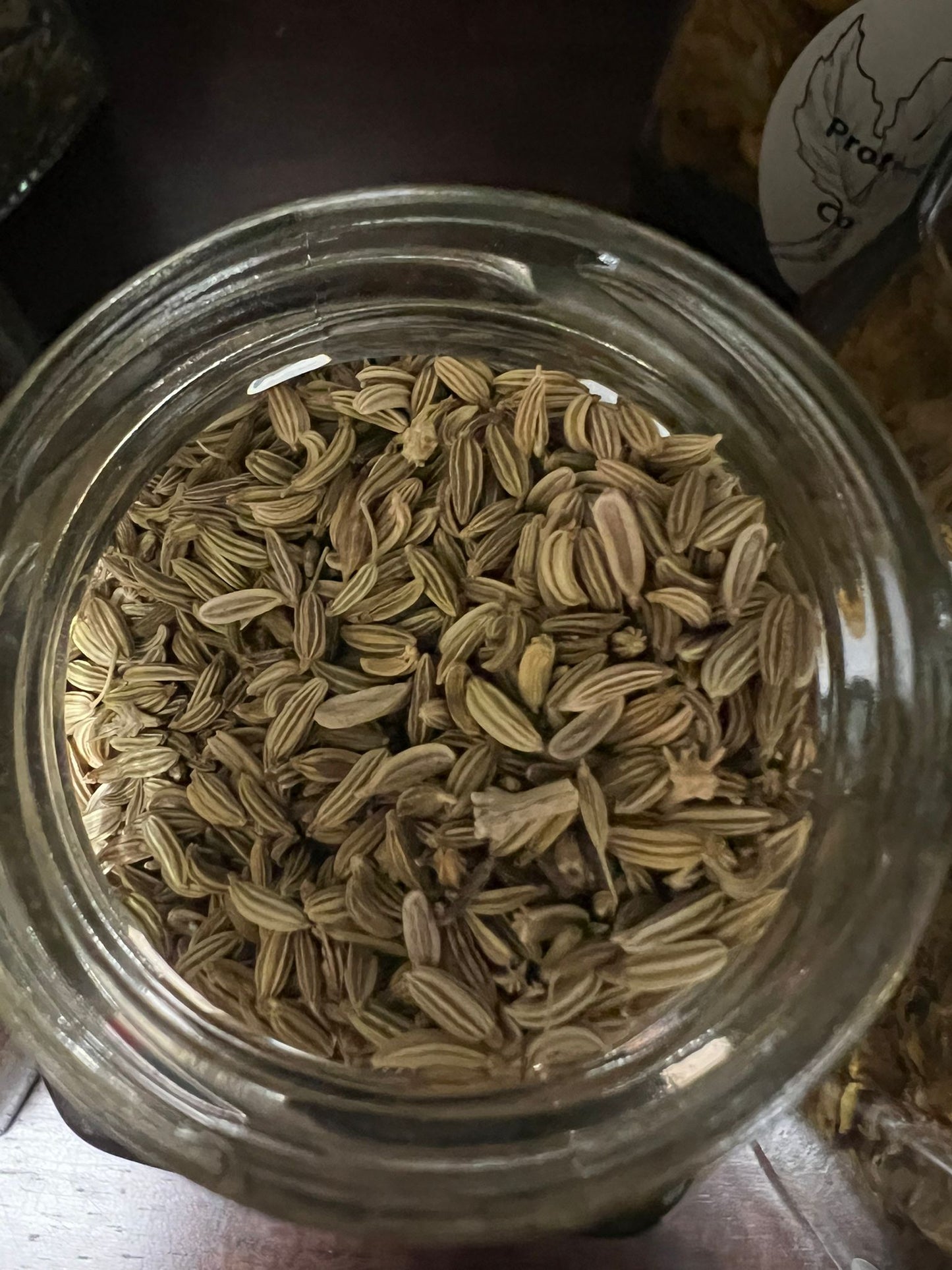 Fennel | 75g | Herbs | Spell Reagent | Herbwork | Rootwork |