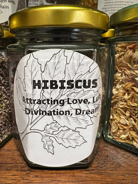 Hibiscus | 25g | Herbs | Spell Reagent | Herbwork | Rootwork |