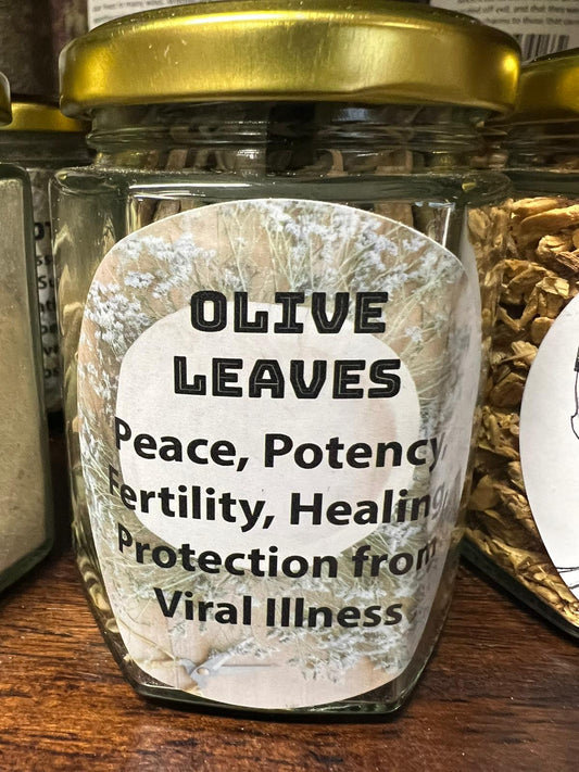 Olive Leaves | 20g | Herbs | Spell Reagent | Herbwork | Rootwork |