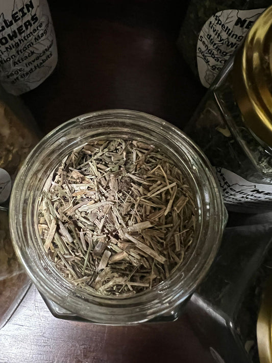 Vervain | 30g | Herbs | Spell Reagent | Herbwork | Rootwork |