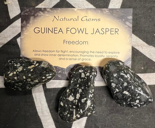 Guinea Fowl Jasper | Tumble Stone | Single Stone or Set of 3 | 20-30mm | Freedom