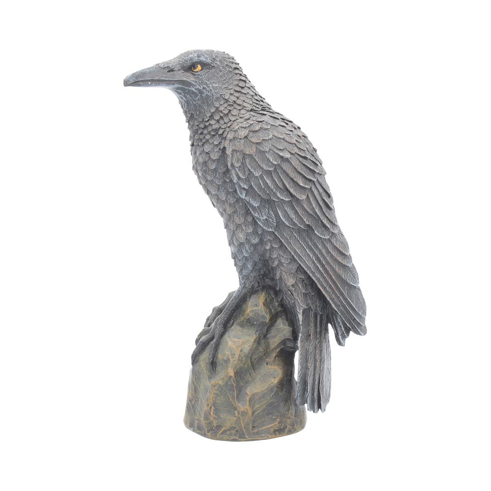 Ravens Rest Figurine | Gothic Bird Ornament | 16cm | Odin's Raven