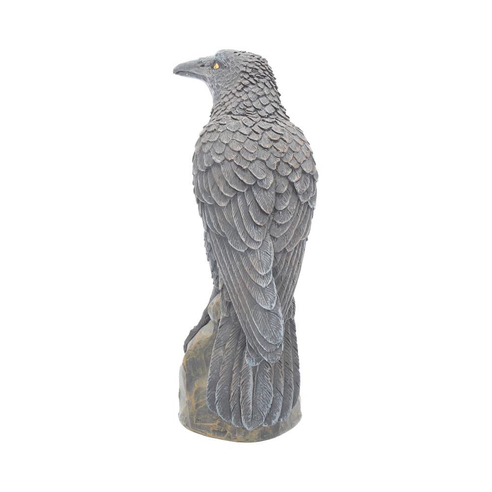 Ravens Rest Figurine | Gothic Bird Ornament | 16cm | Odin's Raven