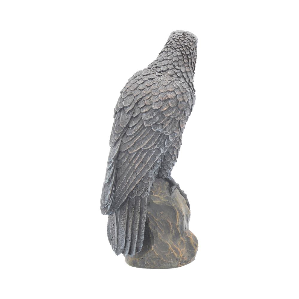 Ravens Rest Figurine | Gothic Bird Ornament | 16cm | Odin's Raven