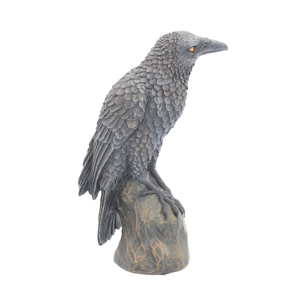 Ravens Rest Figurine | Gothic Bird Ornament | 16cm | Odin's Raven