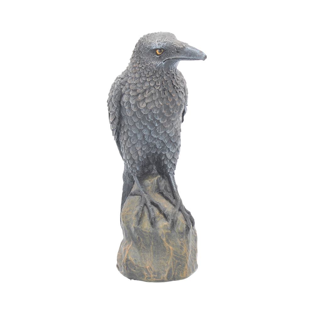 Ravens Rest Figurine | Gothic Bird Ornament | 16cm | Odin's Raven