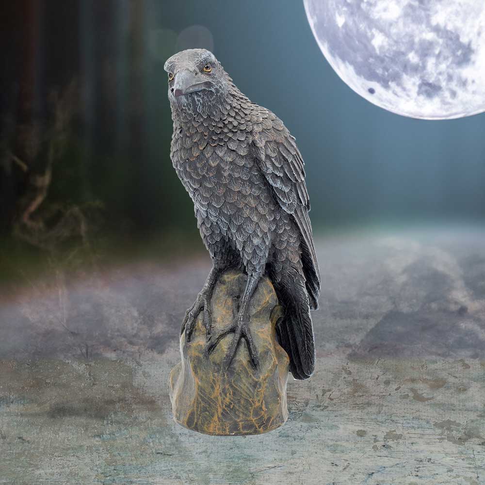 Ravens Rest Figurine | Gothic Bird Ornament | 16cm | Odin's Raven