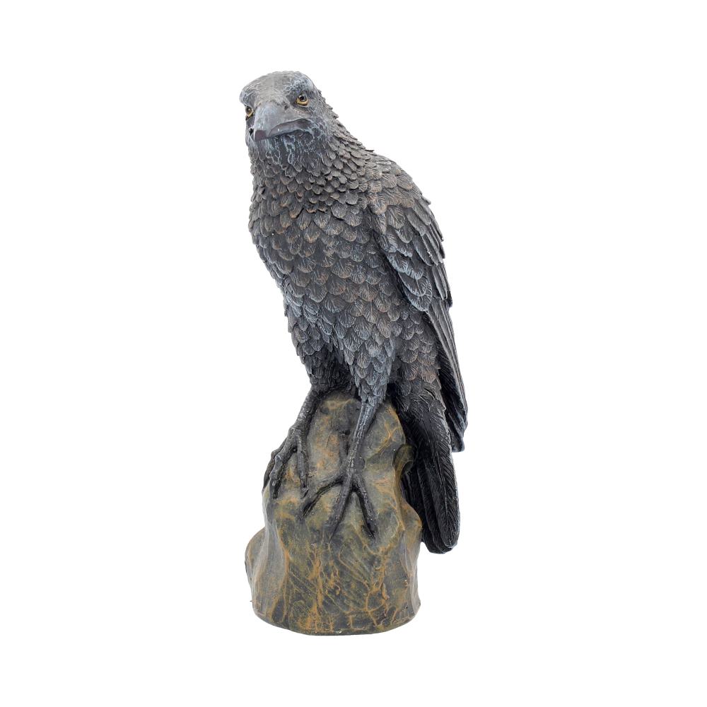 Ravens Rest Figurine | Gothic Bird Ornament | 16cm | Odin's Raven