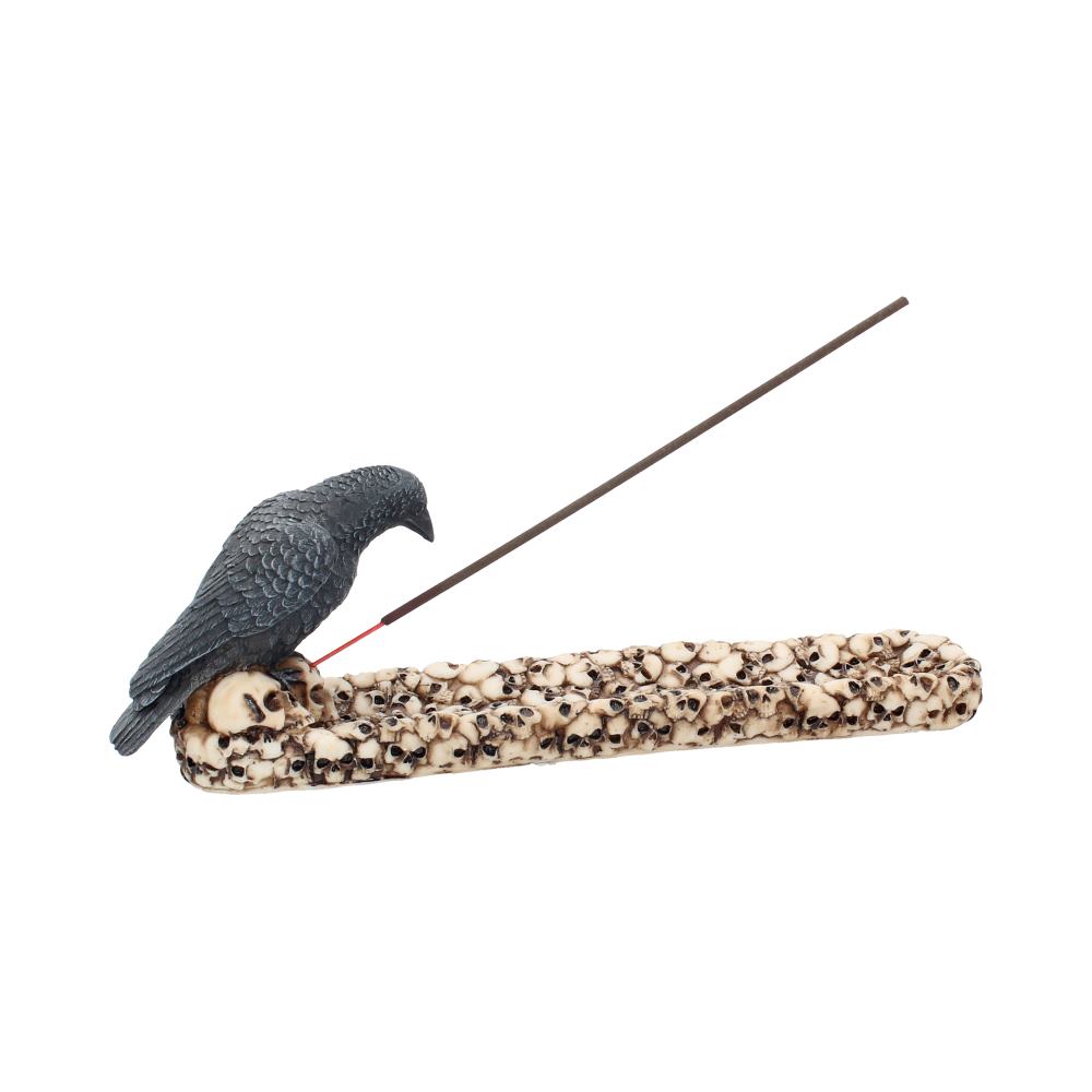 Raven Perched On A Skull Incense Holder | 25cm | Incense Stick Holder