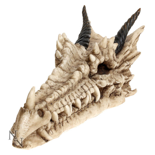 Draco Skull Incense Holder 24cm | Dragon Incense Holder | Incense Stick Holder
